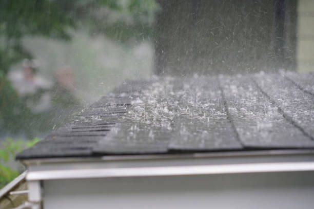 Best Rubber Roofing (EPDM, TPO)  in New Hope, PA