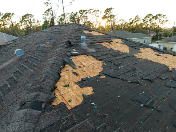Best 4 Ply Roofing  in New Hope, PA
